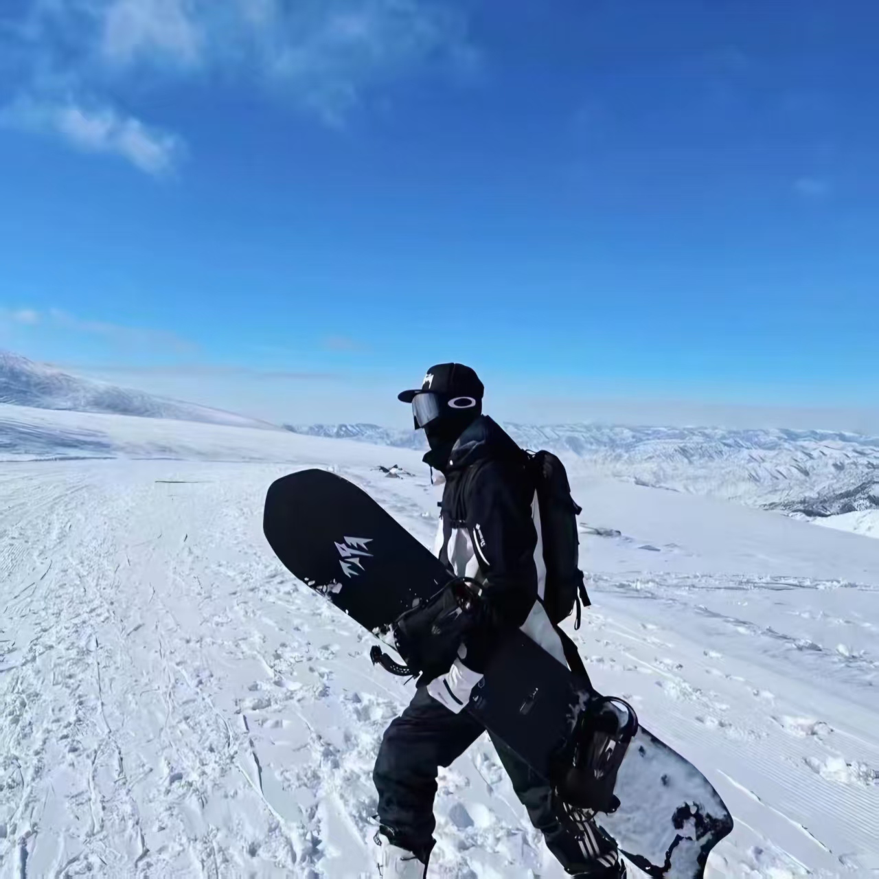 D ||  户外连帽防风防水耐磨保暖透气羽绒冲锋-X