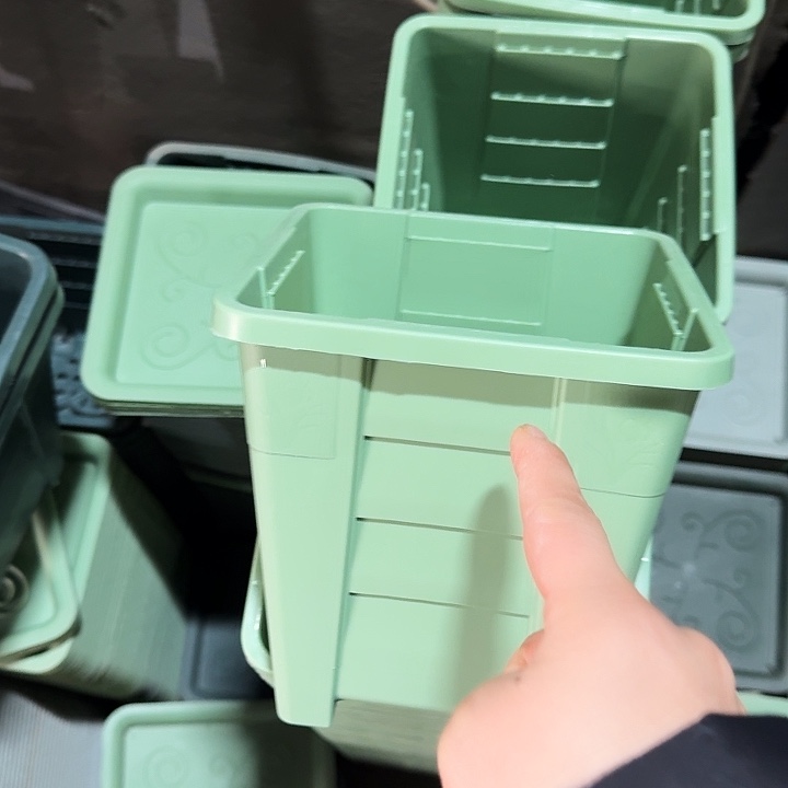 编号103果绿无托10个