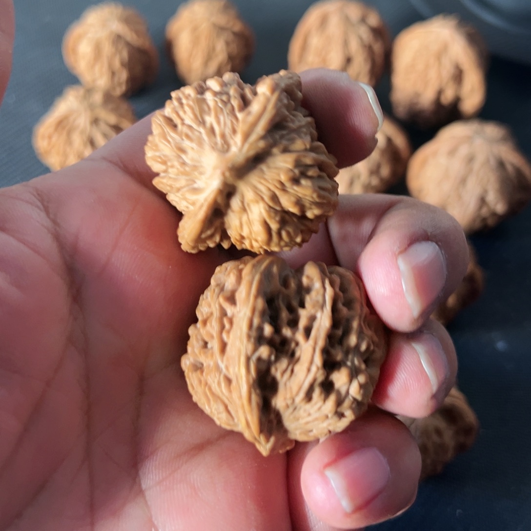 花***』啊啊啊啊啊啊啊啊啊啊