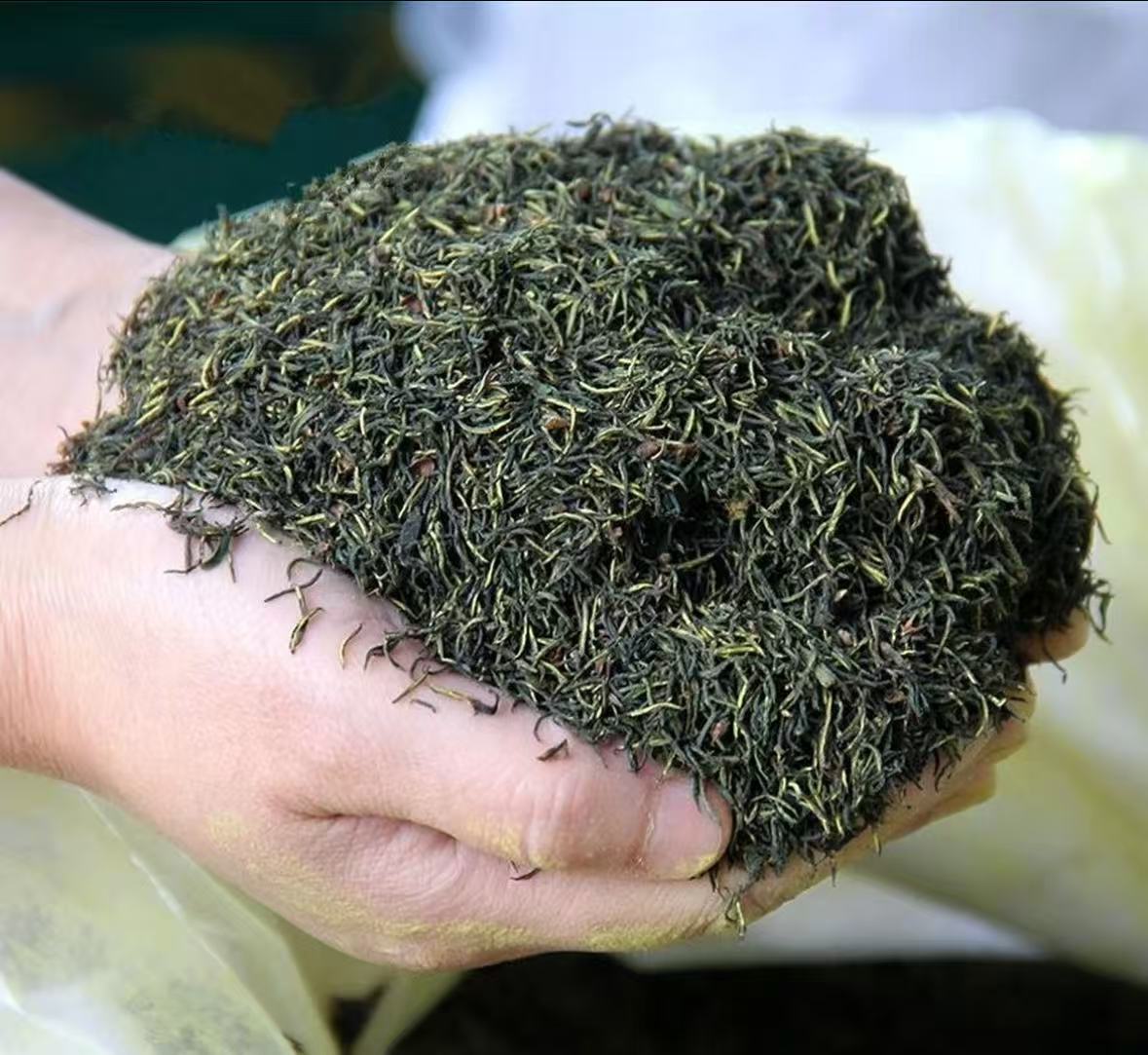 云南优选好物【小陈】英雄蕊干片