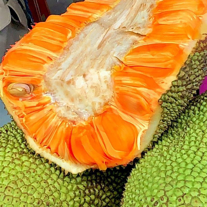 越南红肉黄肉菠萝蜜（印尼红） 一颗8-18斤净重黄肉菠萝蜜越南社会主义共和国