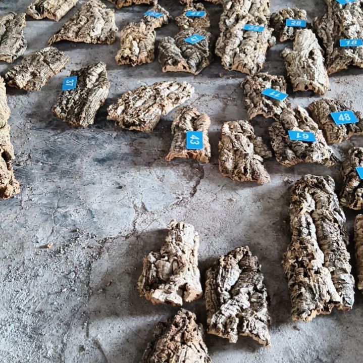 完全开放顺顺利利，平平安安