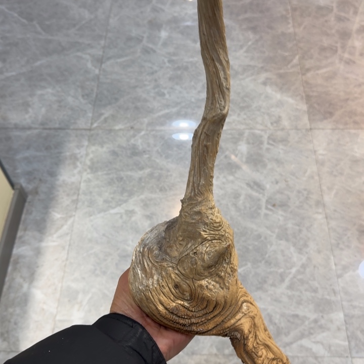 柏木（崖柏）卷*大崖柏阿啊阿啊