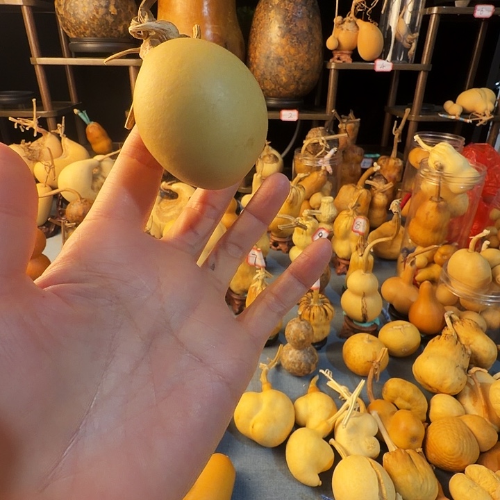 吉***豆葫芦大厚皮是真的好看