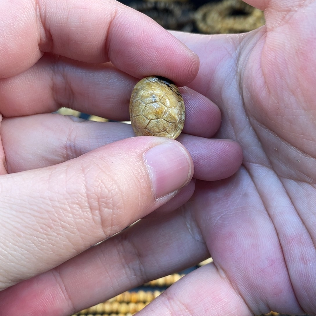随***名琥珀未镶嵌裸石蜜蜡富甲