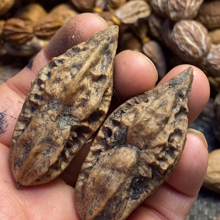 嬴***桃核吊坠东北我特产77