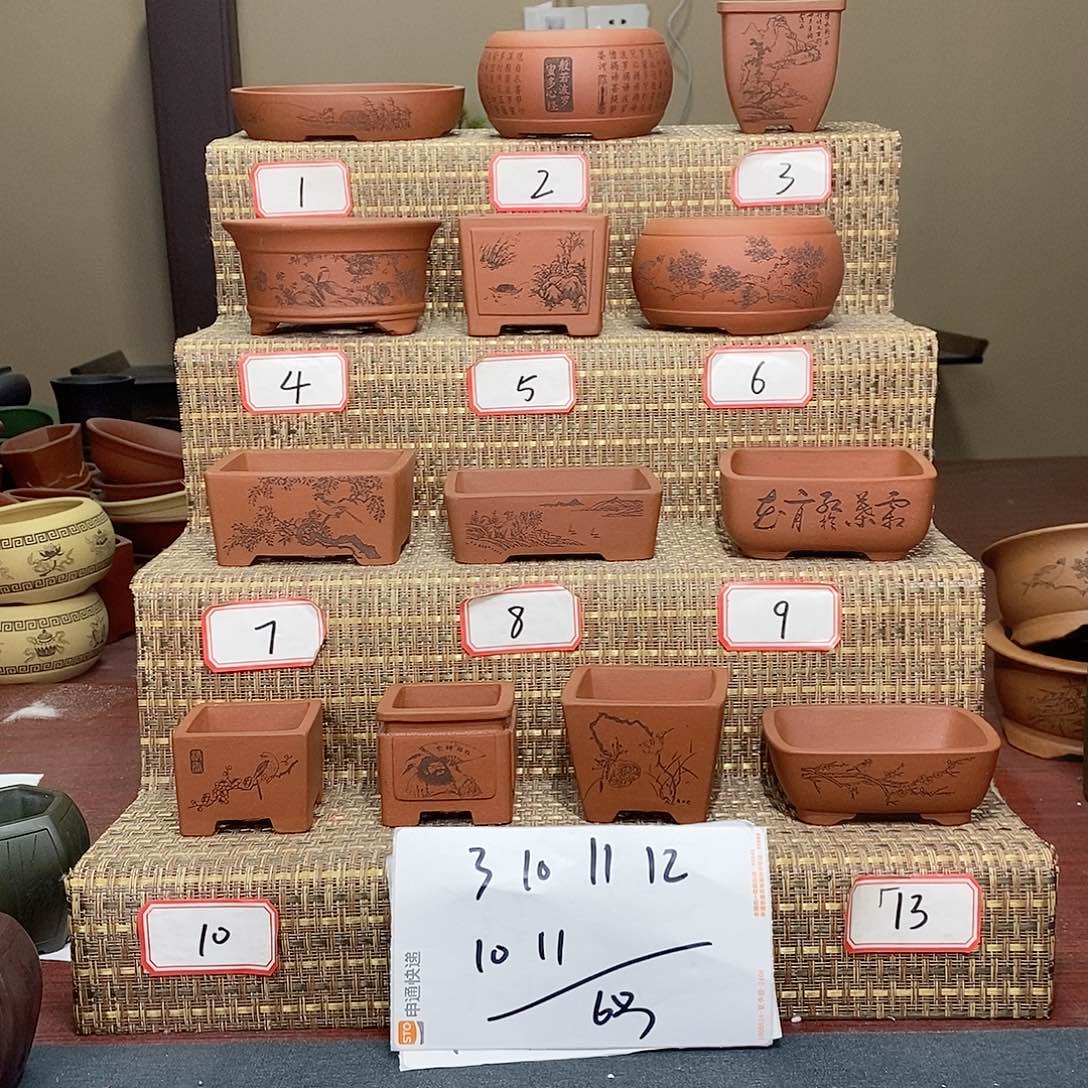 紫砂花盆源我在等他