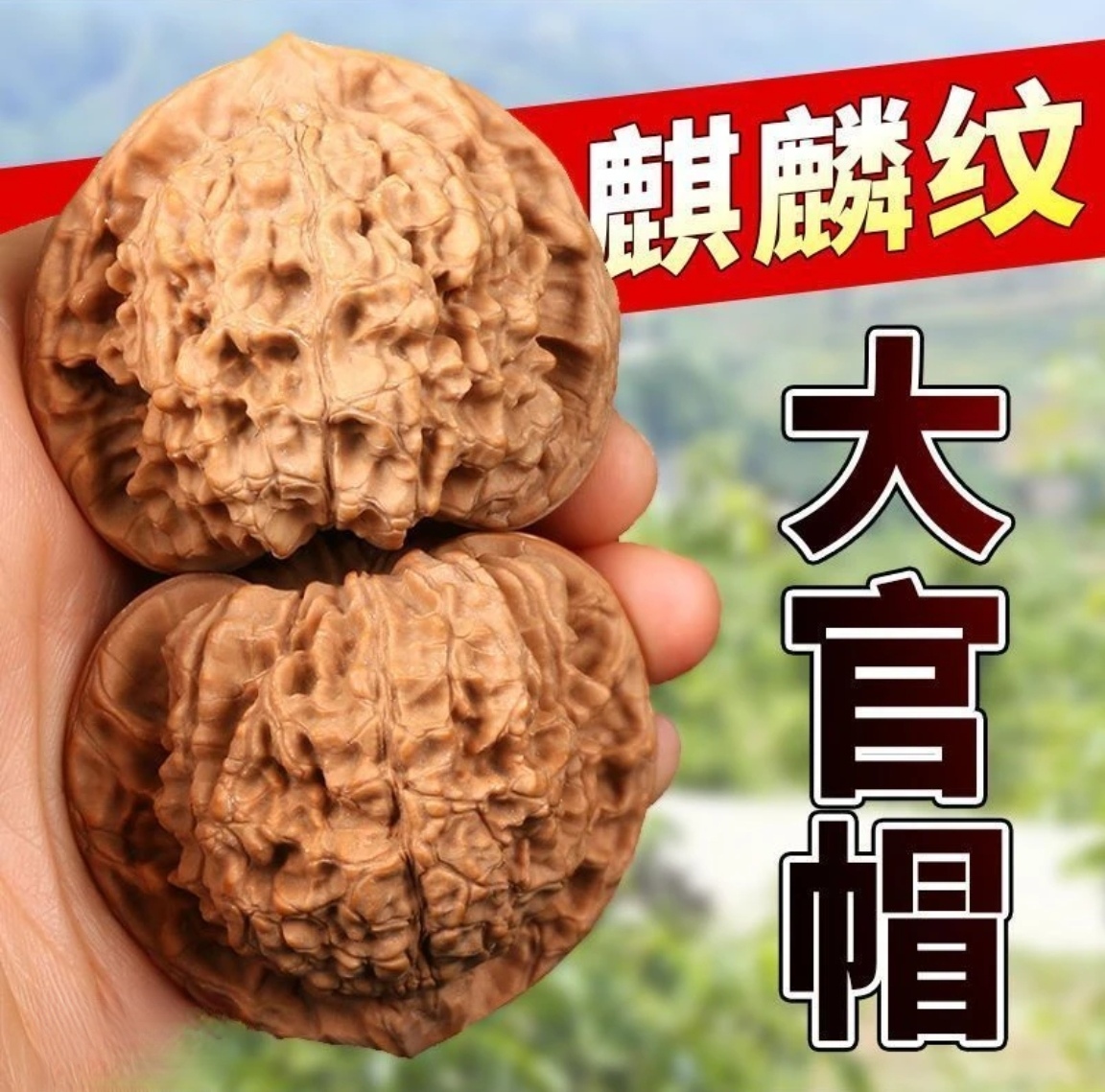 文玩核桃麒麟纹官帽精品配对野生纯天然生长把玩核桃狮子头