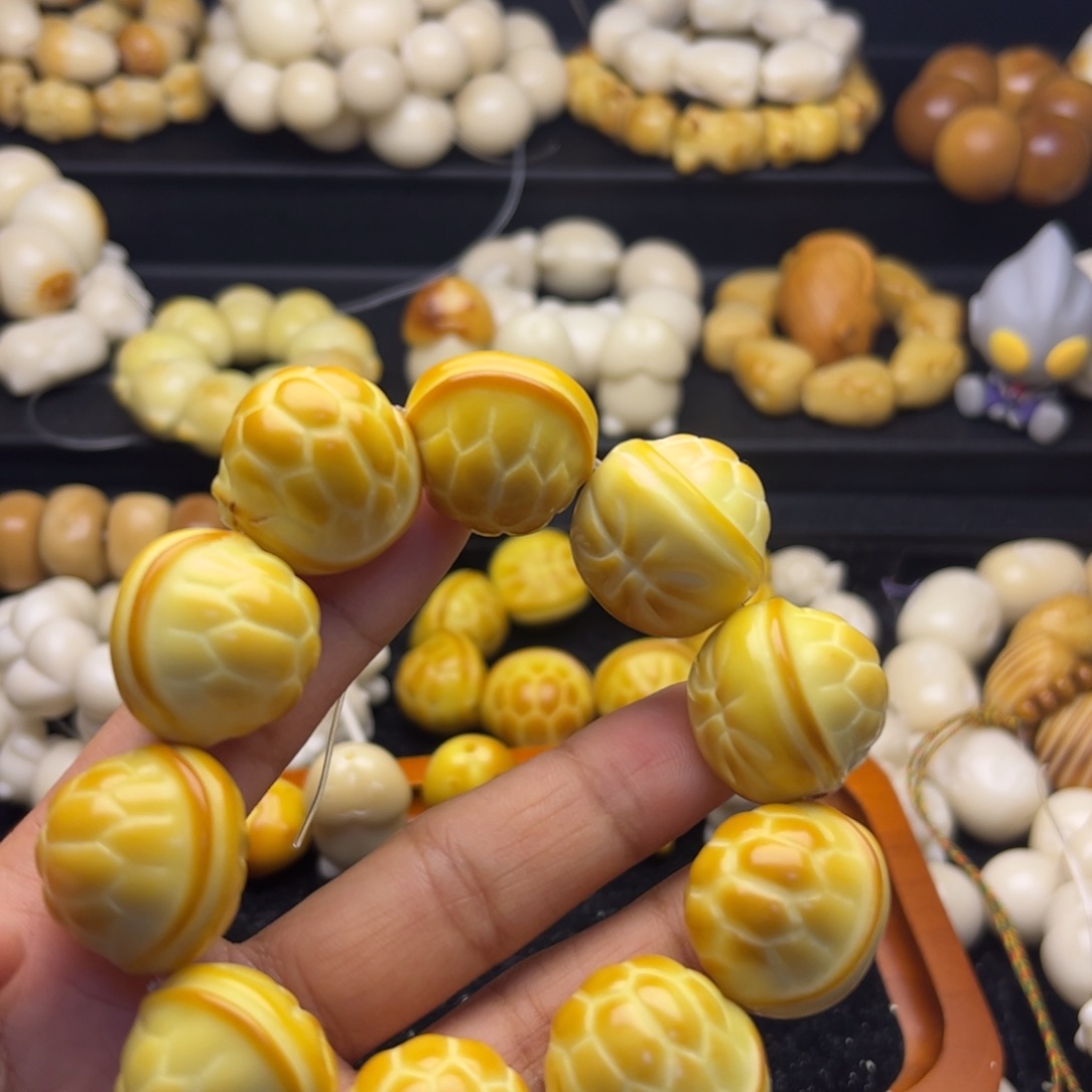 吊坠菩提根/象牙果卡23左右