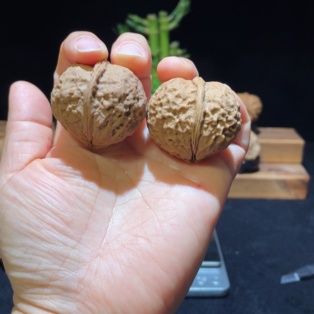 文玩核桃把件云南铁核桃12