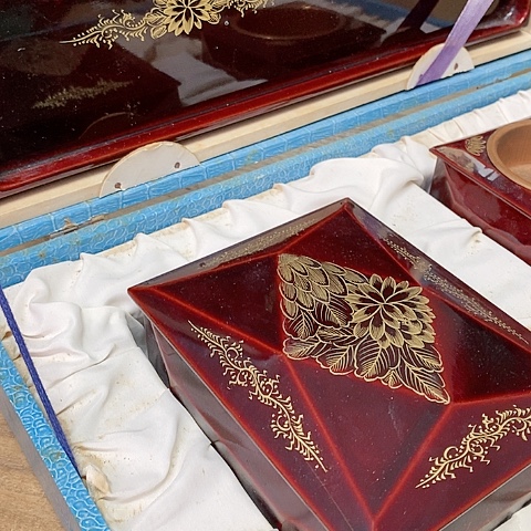 紫砂哈哈哈哈哈哈哈哈