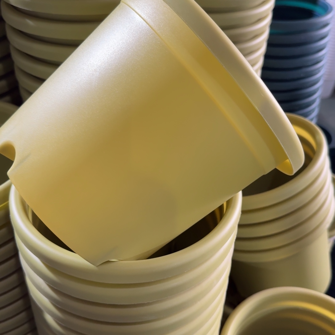 四季3号果绿色10个无拖