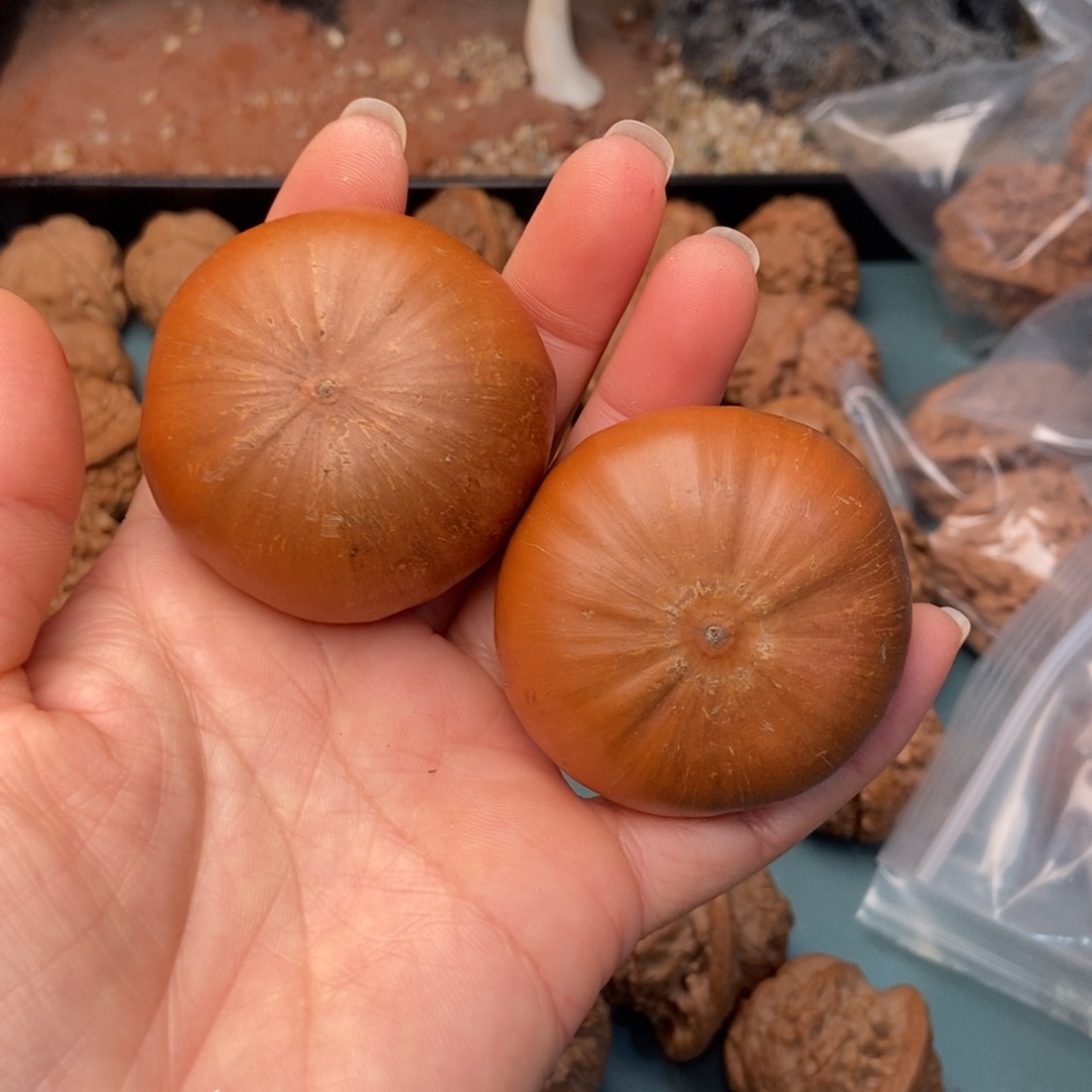 ****辩文玩核桃吊坠风流果17