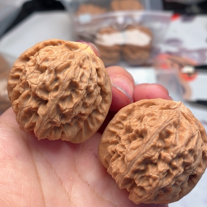 吊坠文玩核桃白狮子黄尖