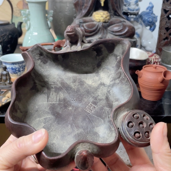 紫砂不一定逆风翻盘，但请一定向阳而生