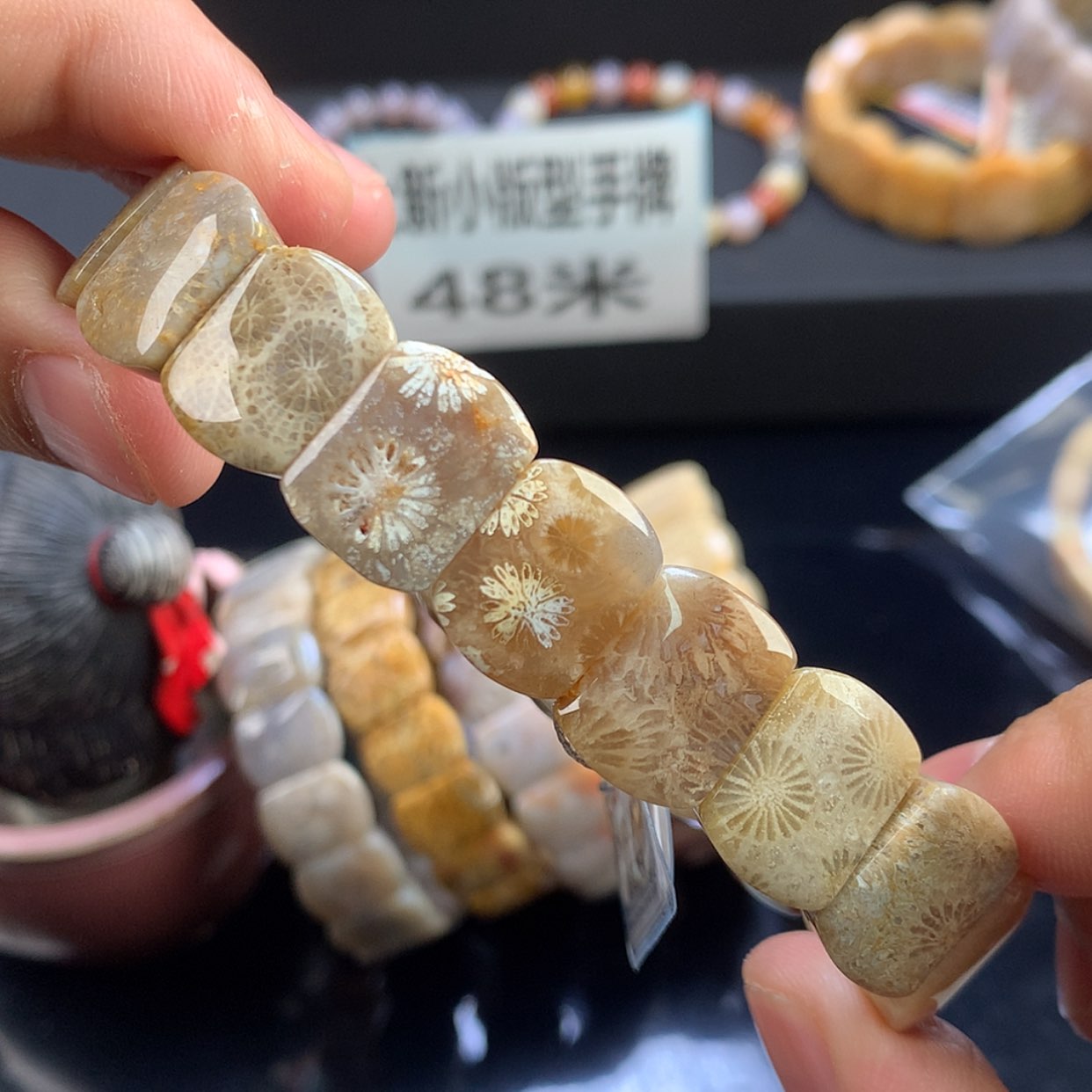 【闪购商品】硅化珊瑚（珊瑚玉）未镶嵌颈饰24号
