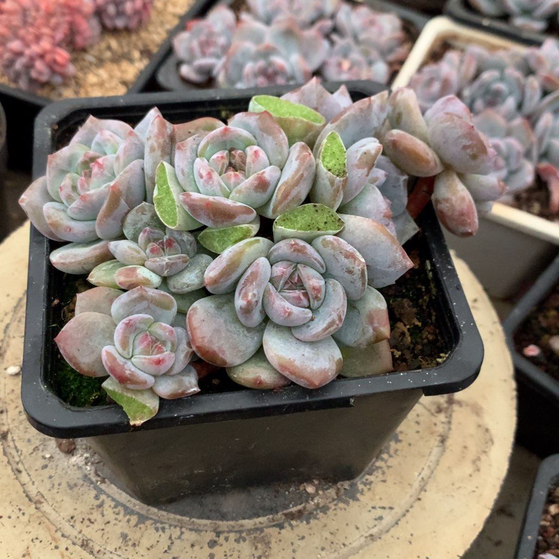 哈哈哈哈哈哈哈哈32