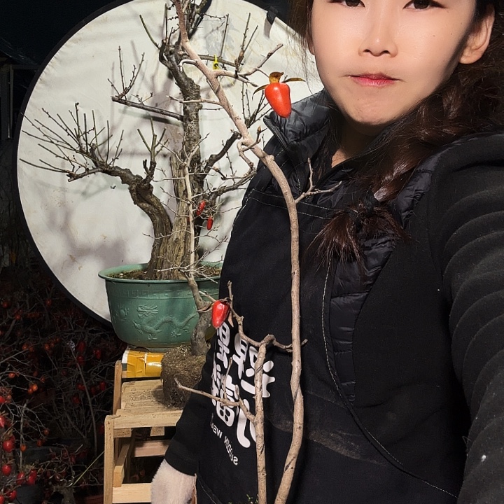 山***周完全开放老鸭柿子