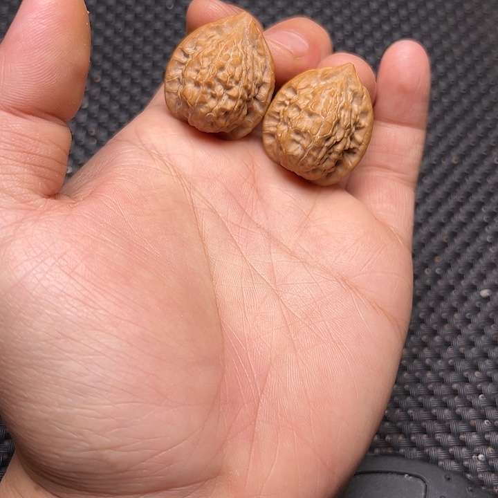 文玩核桃吊坠小金鱼