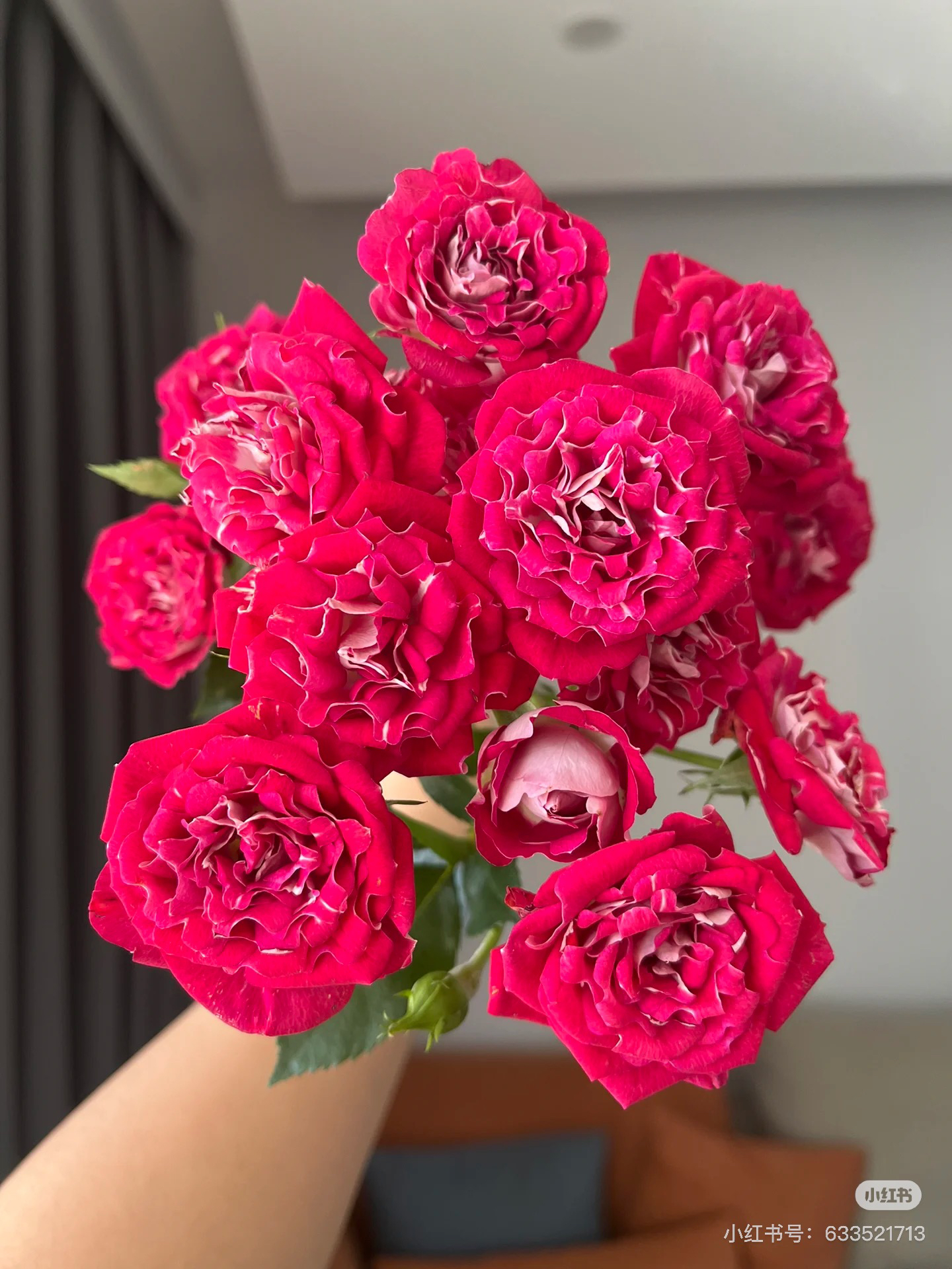 【好物鲜花】稀有彩虹糖多头10支 两单包邮