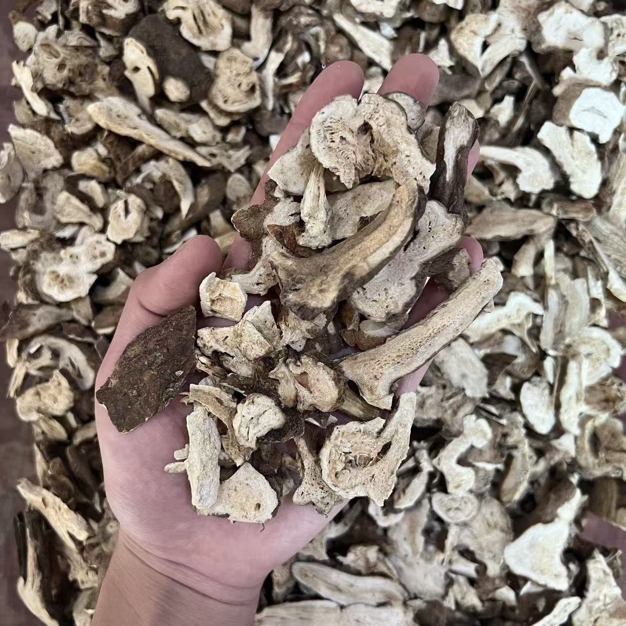 白术碎可煲汤煲水