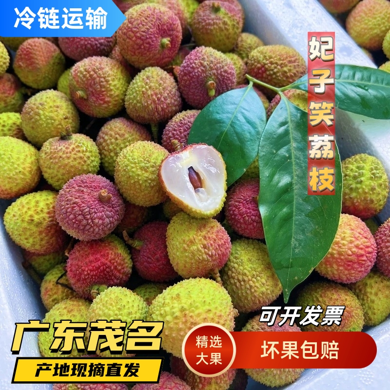 广东妃子笑荔枝现摘现发茂名产区兔优达冷链运输 XM