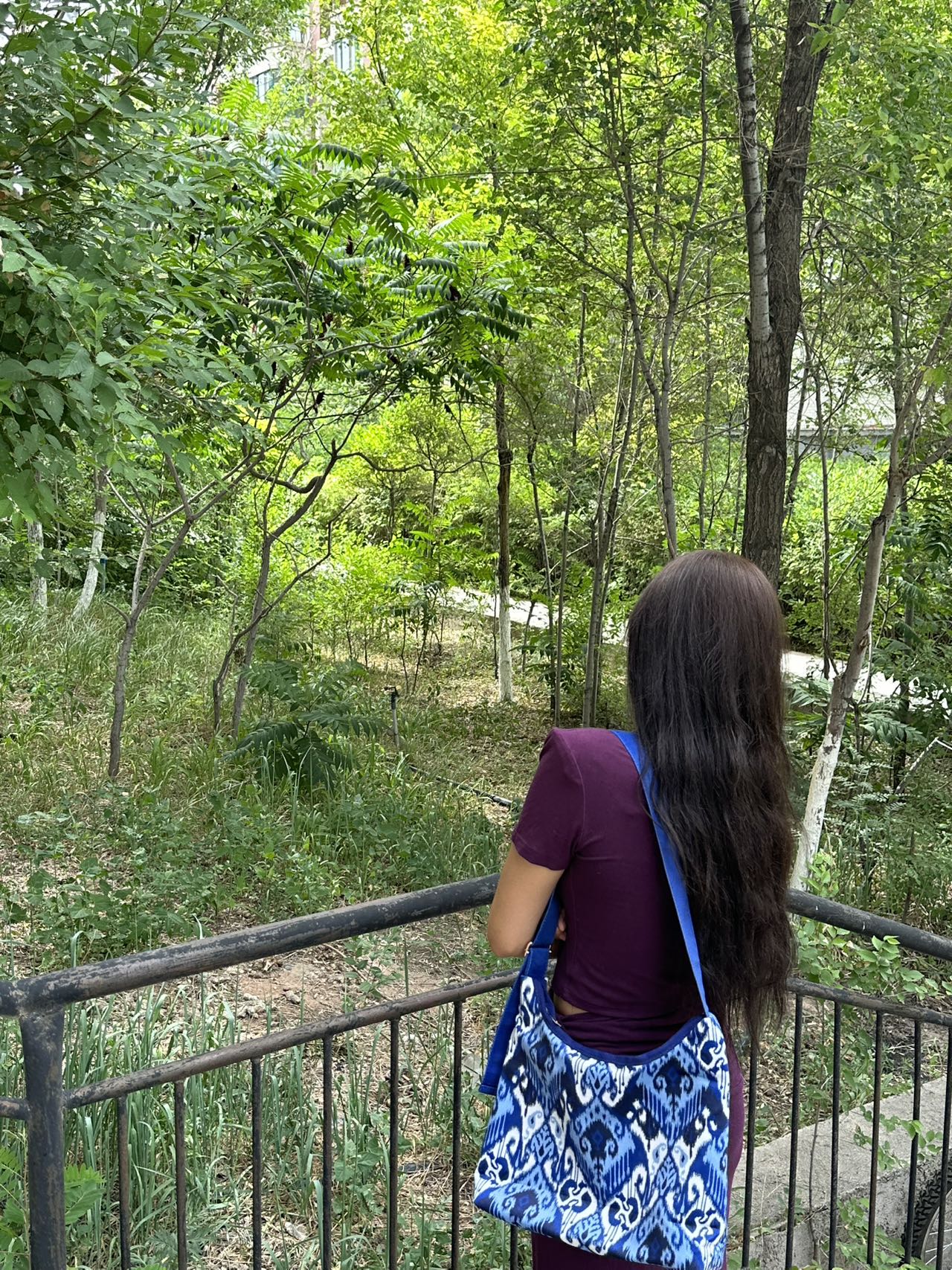 我疆遇见你2025新款新疆艾德莱斯包包