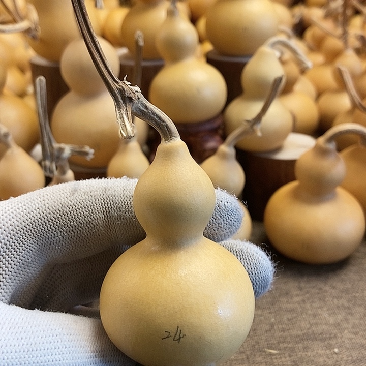 文玩葫芦 完美主义者 慎拍24