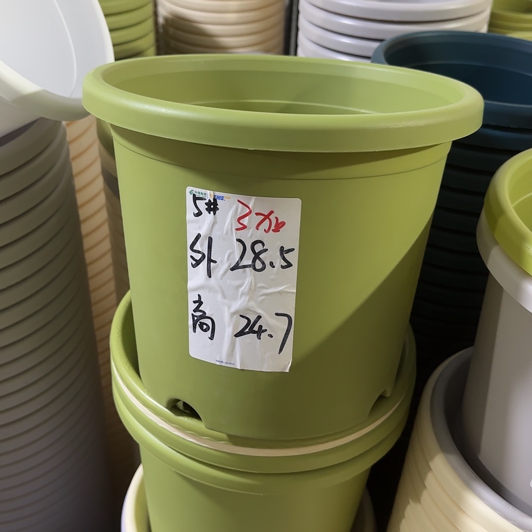 微瑕5号3个无托，果绿