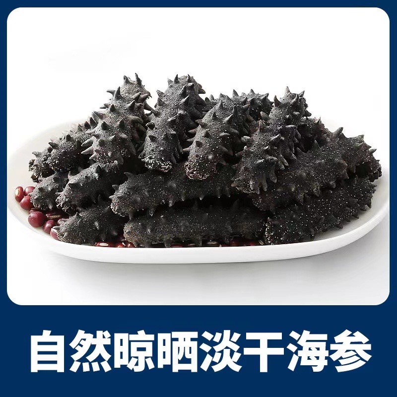 纯淡干 大连辽刺参 （250g）20头左右