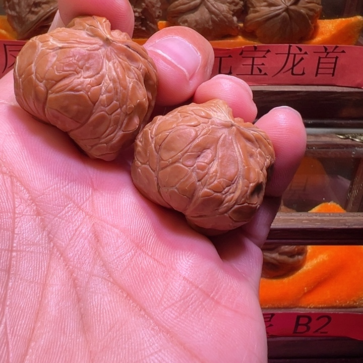 宫灯蛇头纯天然全品