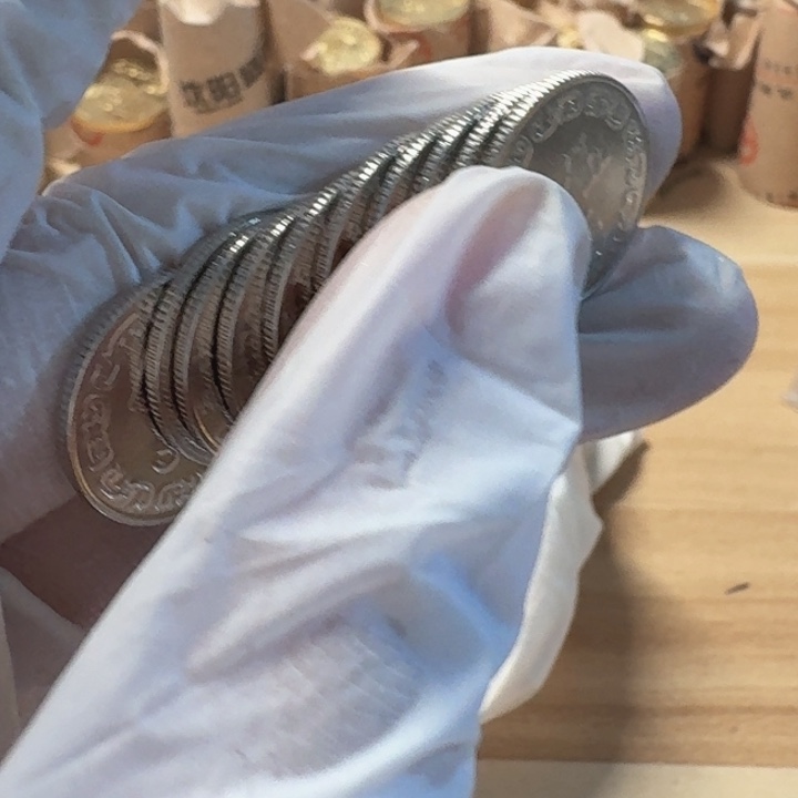 其他普通金属10枚，小5元币