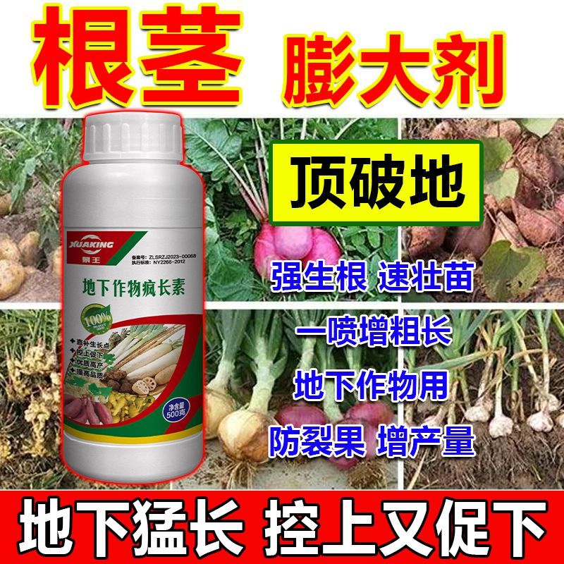 地下猛长根茎膨大莲藕生姜大蒜土豆姜蒜芋头红薯萝卜荸荠地下茎