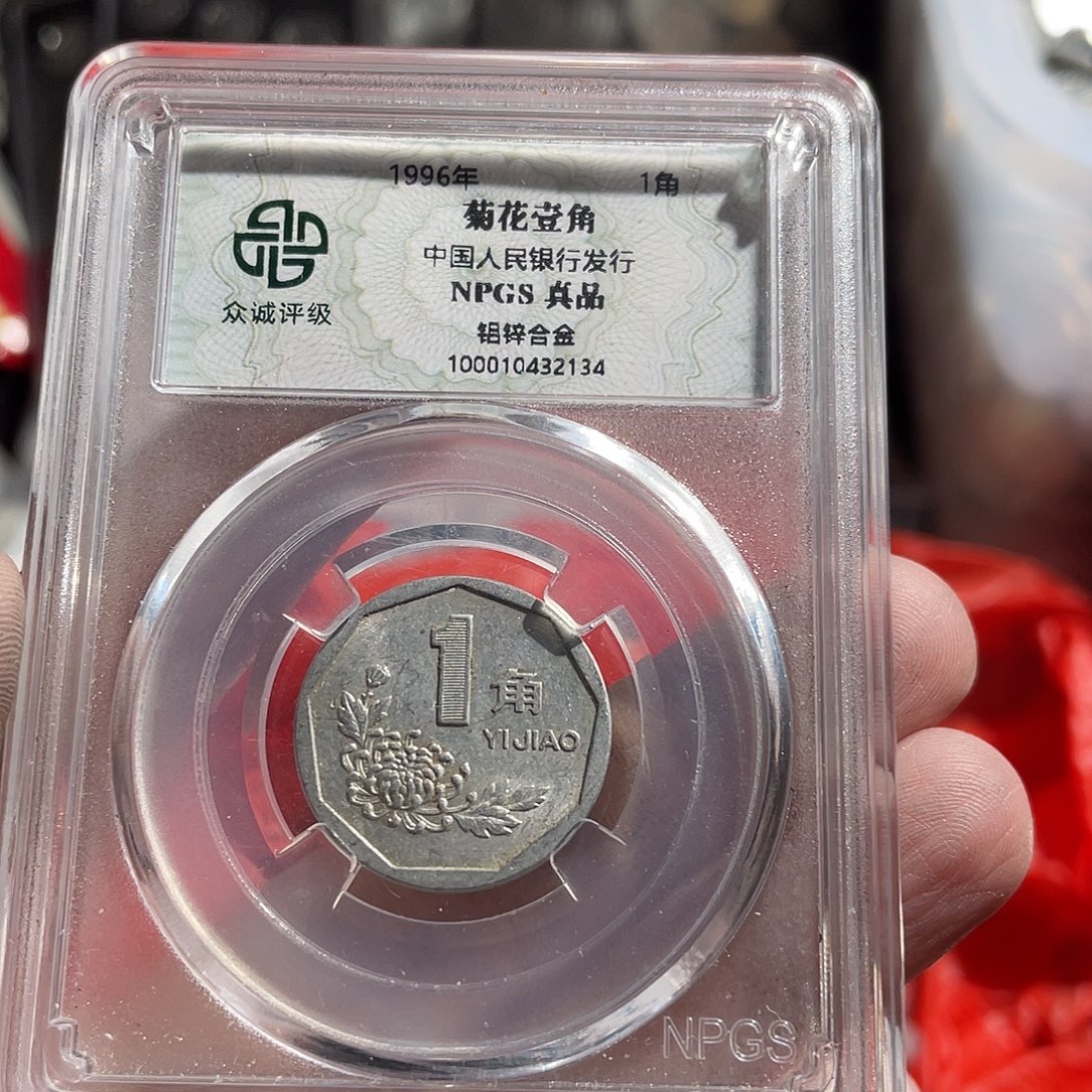 勤***黑菊花3斤啊啊啊啊啊