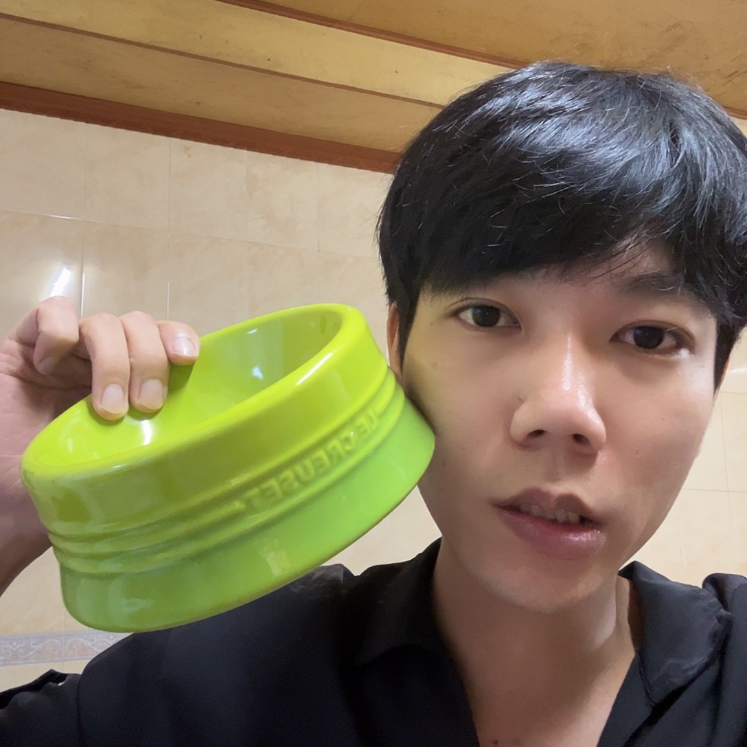 6寸渐变绿猫狗碗1个【微瑕】