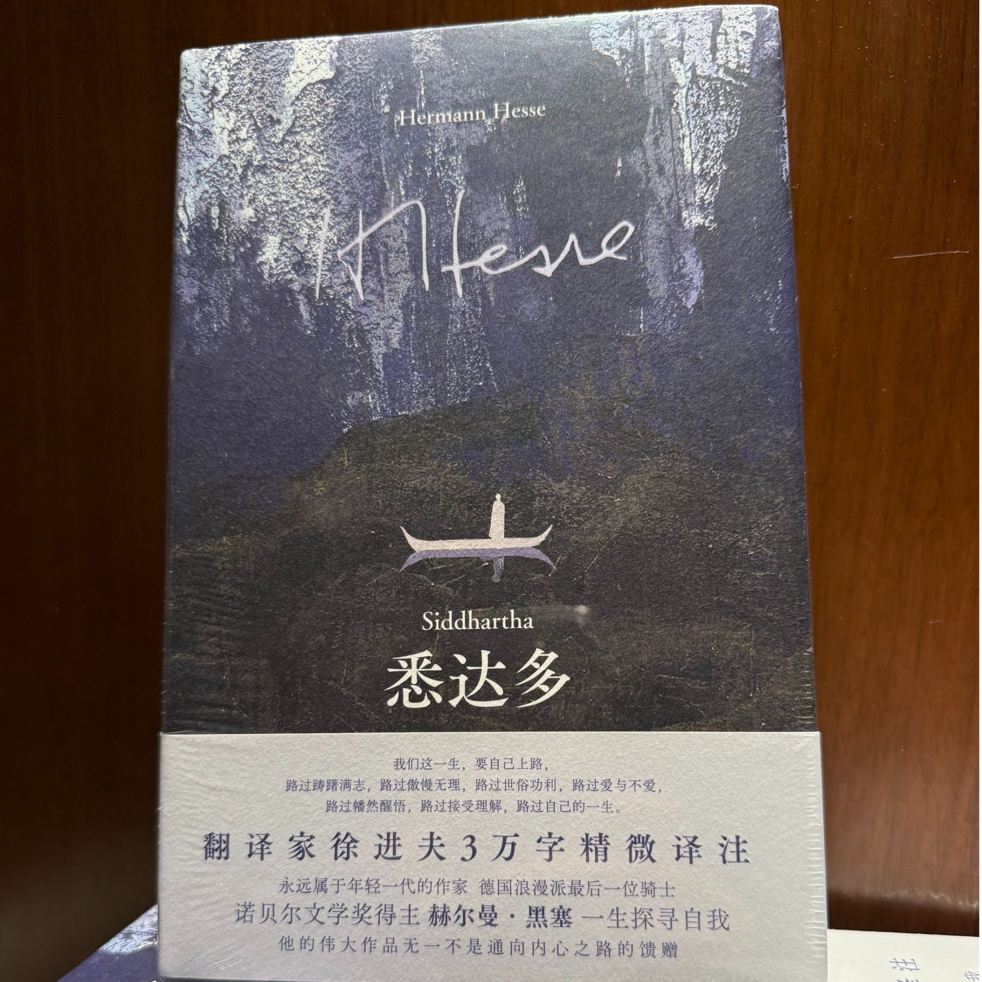 悉达多：流浪者之歌 写给每一个迷惘挣扎的人