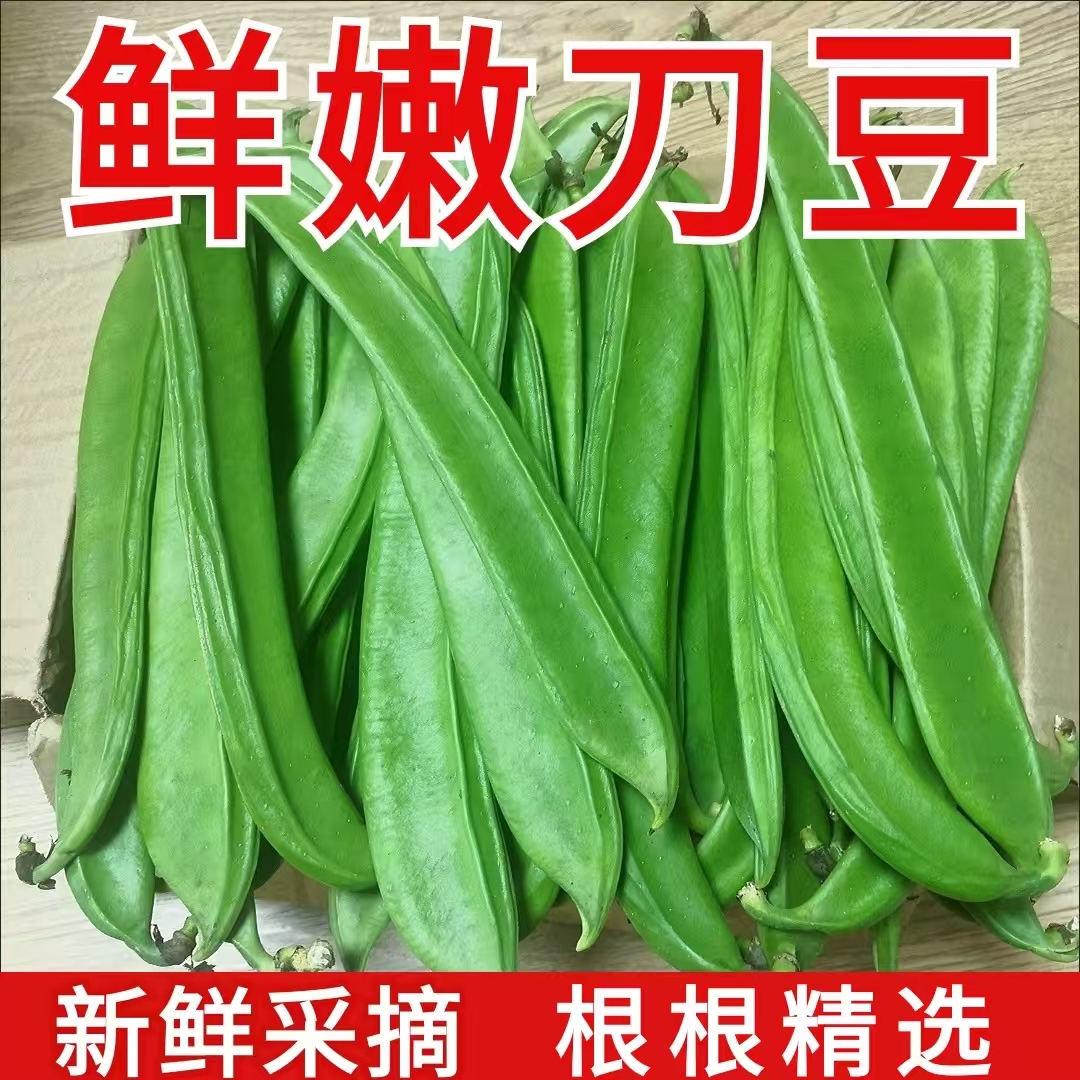 新鲜刀豆农家种植现摘嫩刀豆大刀豆刀把豆青刀豆剁椒泡菜原料