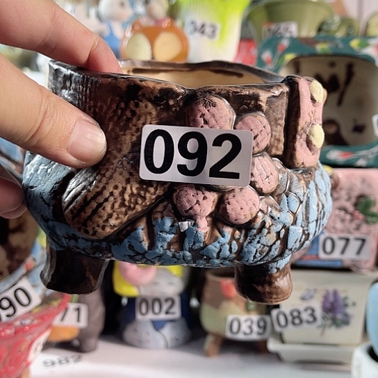 红陶多肉植物花盆