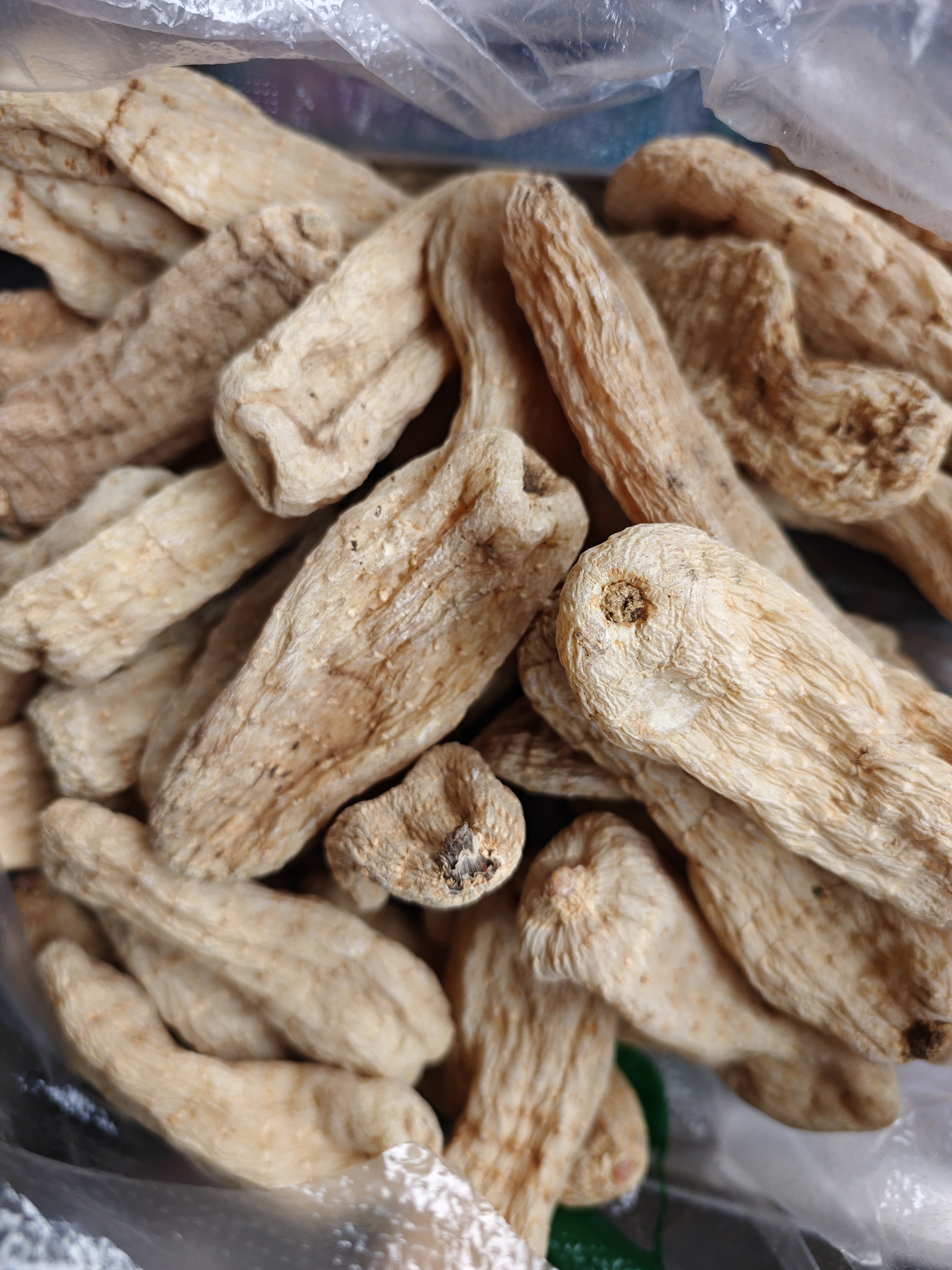 [同源南滇]云南山天麻