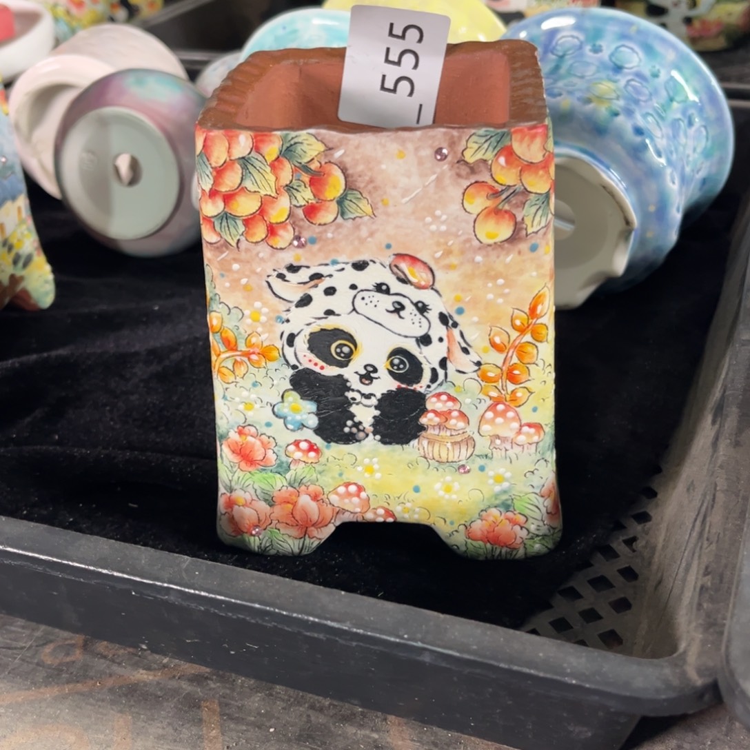 乔***儿555多肉花盆250元1个