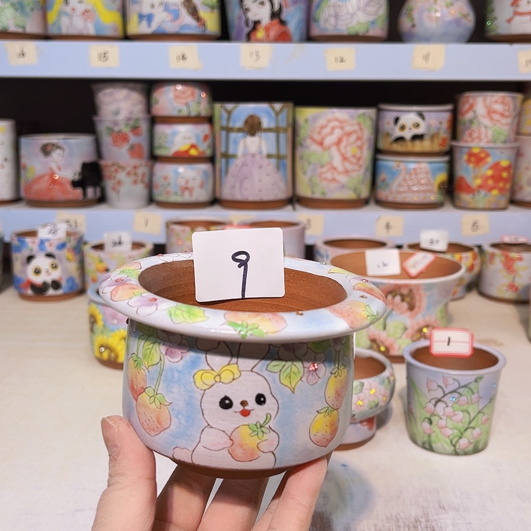 所见所得一物一拍花盆多肉植物手绘盆9