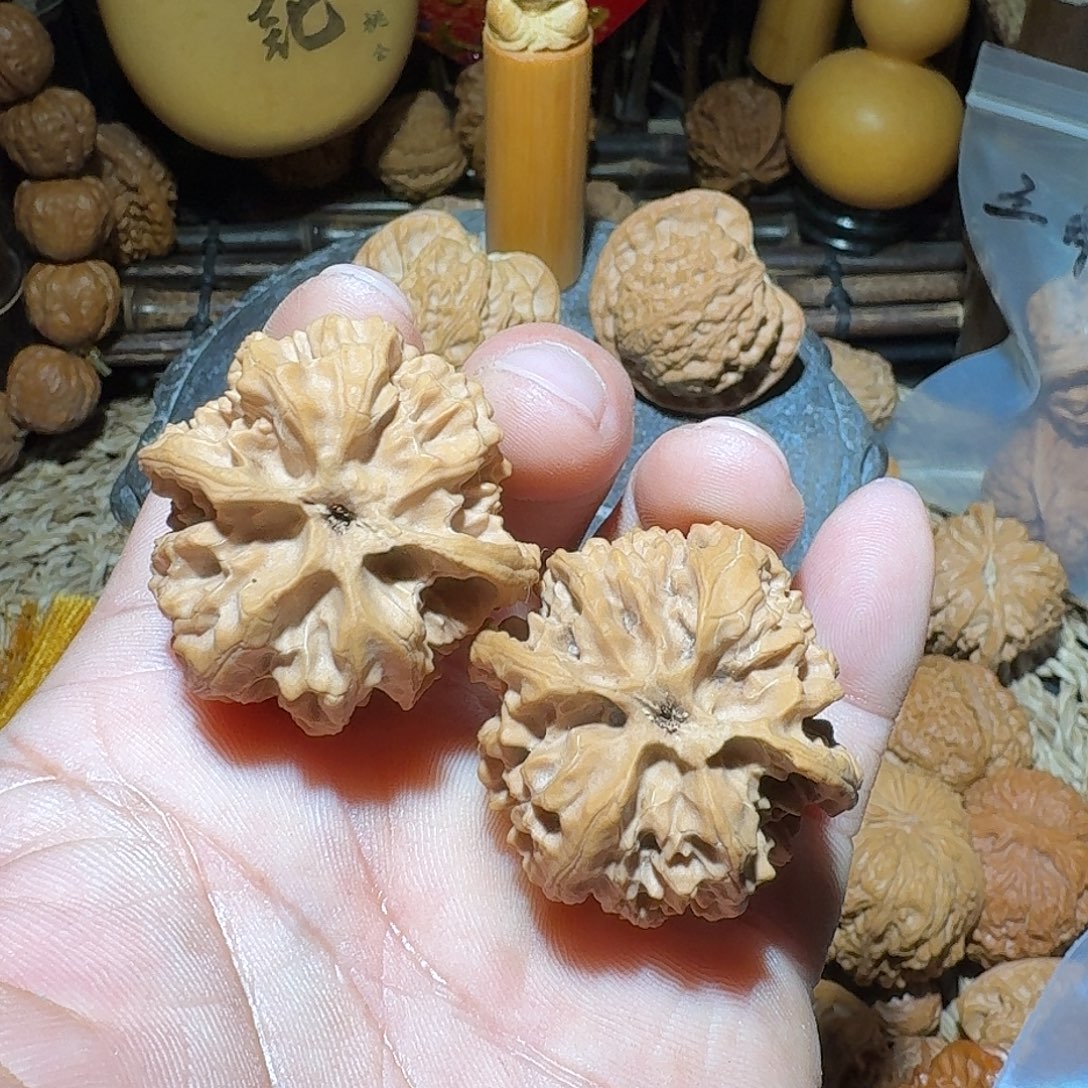 核桃36尺全品山地苹果圆