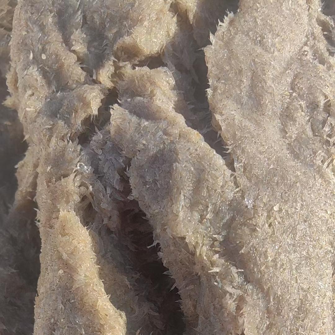 鲜末货 青岛新鲜纳米虾 末货虾 虾酱