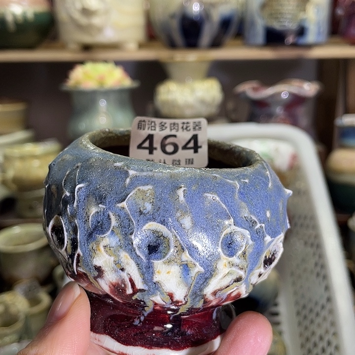 菊***香狼盆内口径1高度1