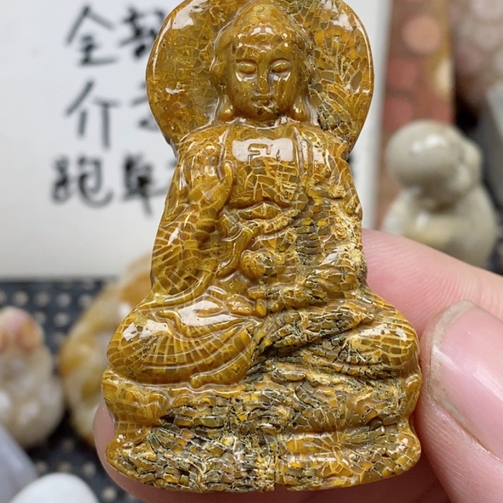 颈饰未镶嵌硅化珊瑚（珊瑚玉）有瑕