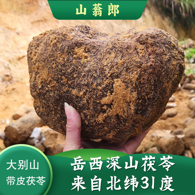 大别山茯苓带皮茯苓原产地岳西茯苓土茯苓茯苓大块大块茯苓