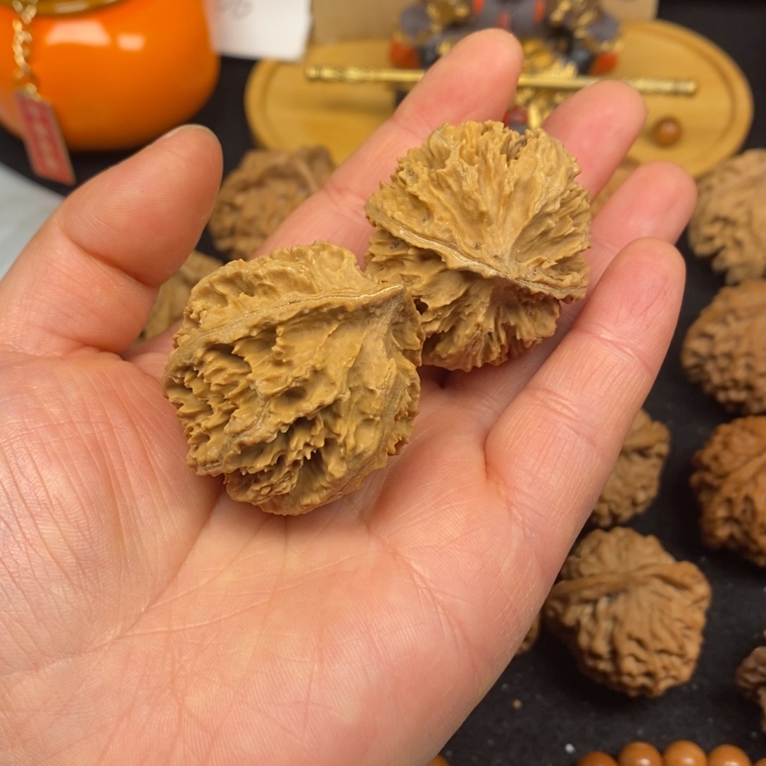 放*秦岭南北缘是指长江