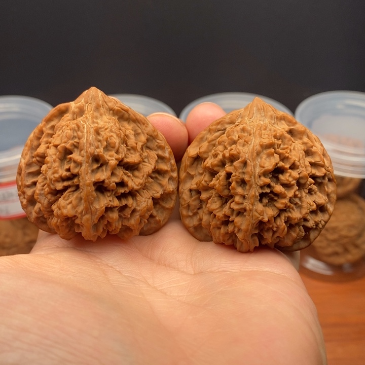 核桃麻核桃满天星47尺