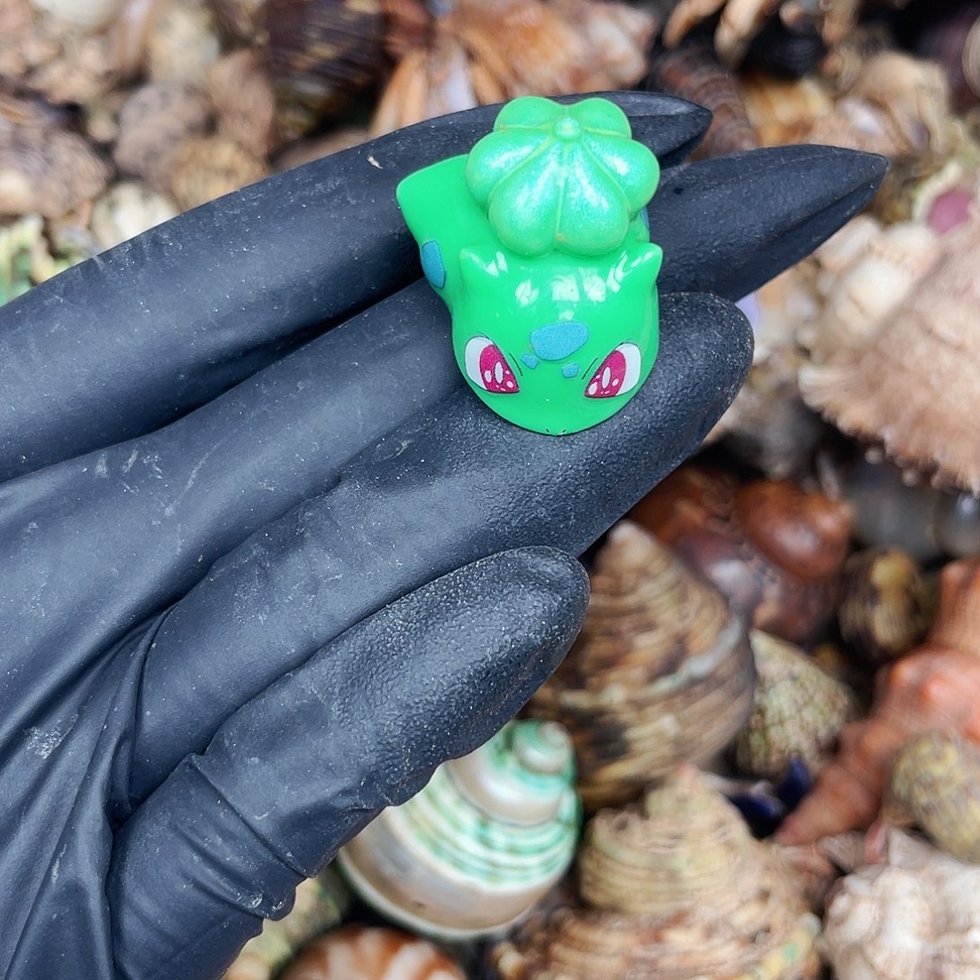 寄居蟹寄居蟹1.6口4462