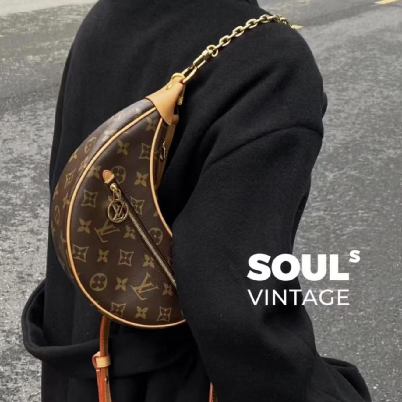 95新 LouisVuitton/路易威登 Lv 老花 loop月亮包/648971859